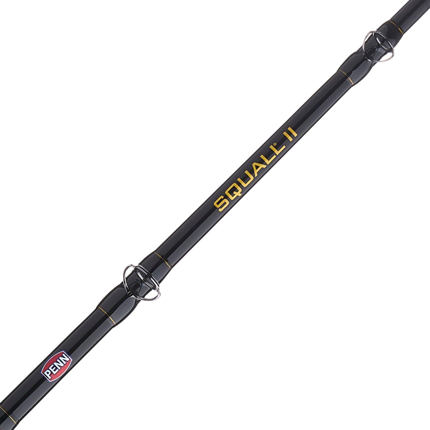 Penn Squall II Lever Drag Combo - SQLII50LD3050C66