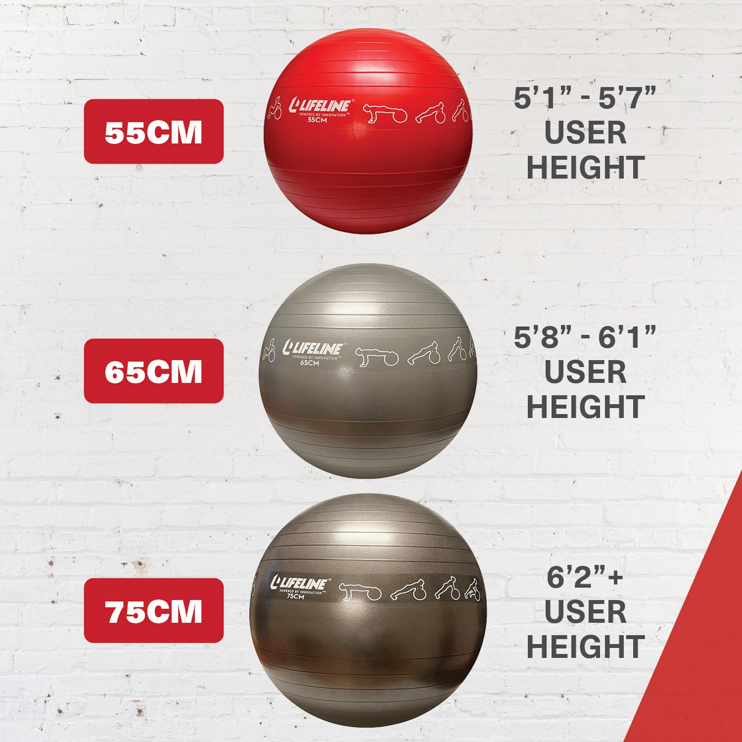 Life Fitness Red 55cm Stability Ball