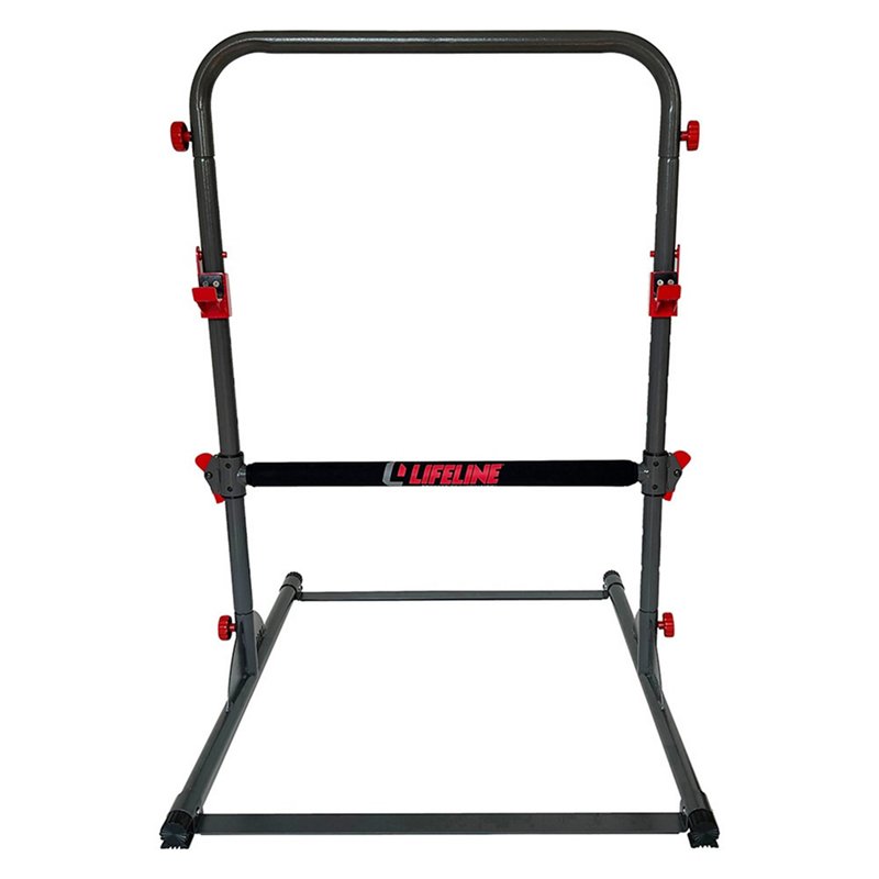 Lifeline Exercise T… - image