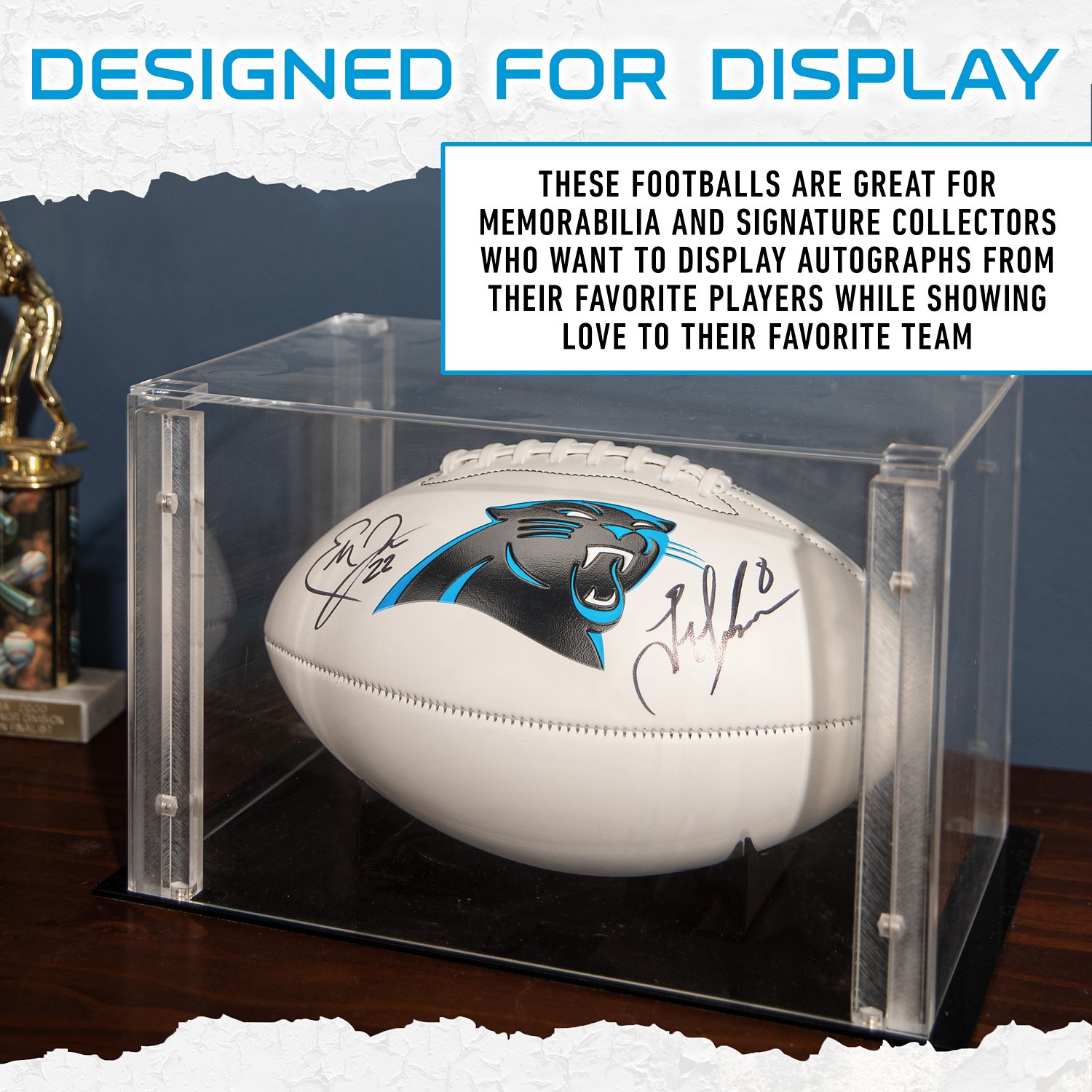 Franklin Carolina Panthers Official Size Autograph Football  - view number 6