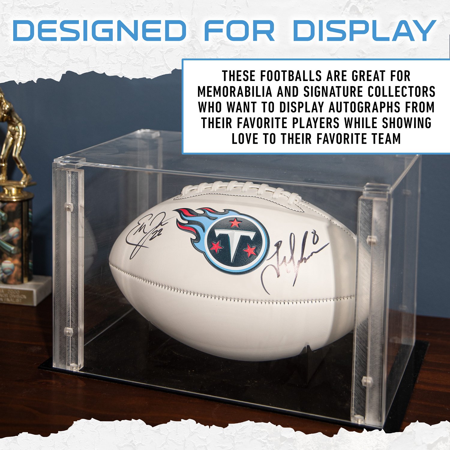 Franklin Tennessee Titans Official Size Autograph Football  - view number 6