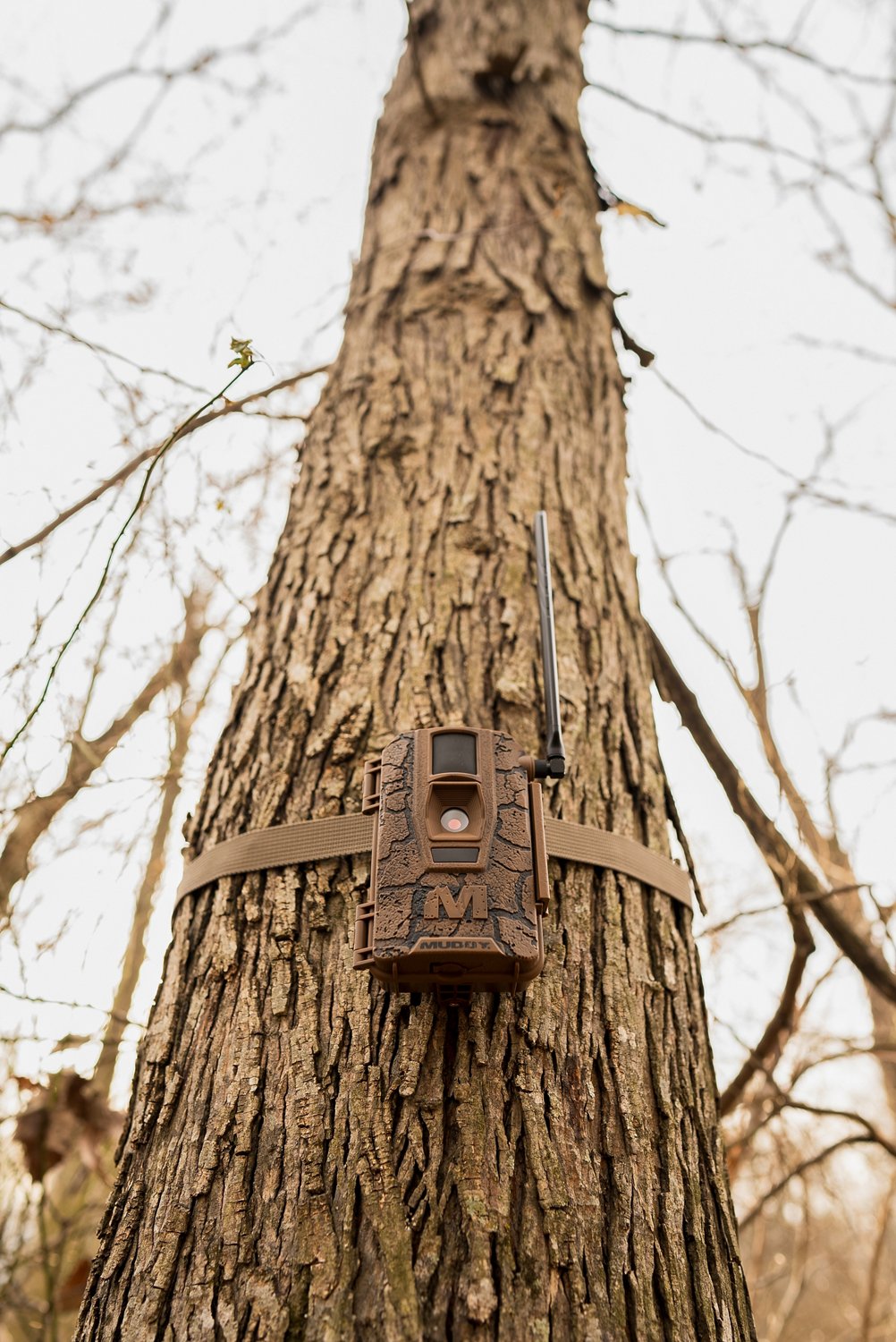 Muddy Mitigator 2.0 3-Pack Trail Cameras - view number 6