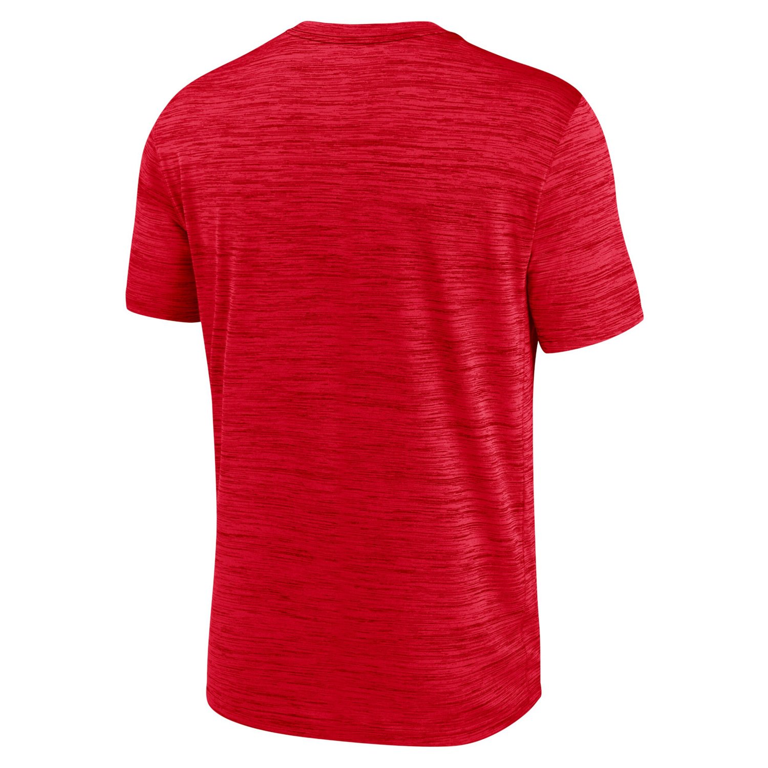 Nike Georgia Bulldogs 2024 Sideline Velocity Performance T-Shirt                                                                 - view number 3