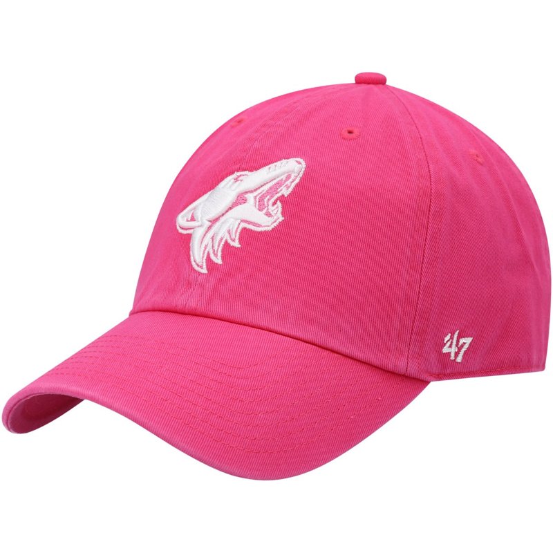 '47 Arizona Coyotes… - image