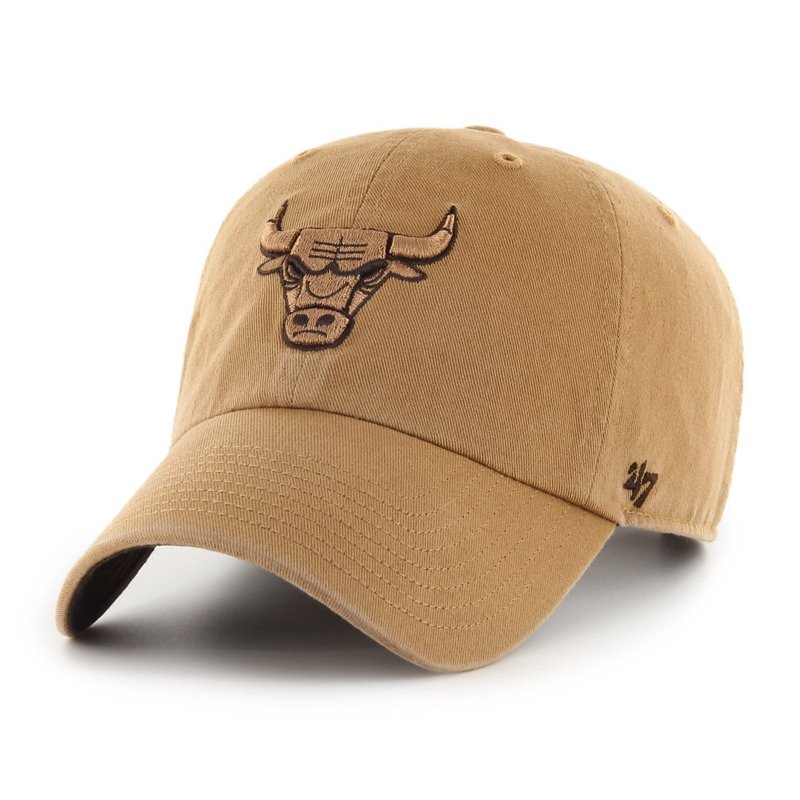 '47 Chicago Bulls B… - image