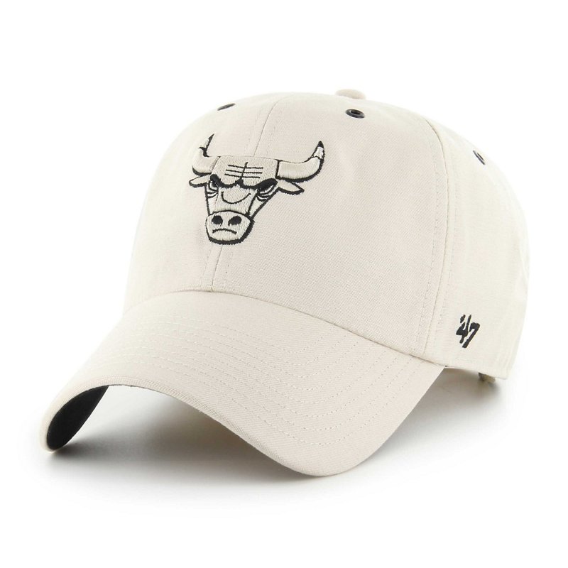 '47 Chicago Bulls L… - image
