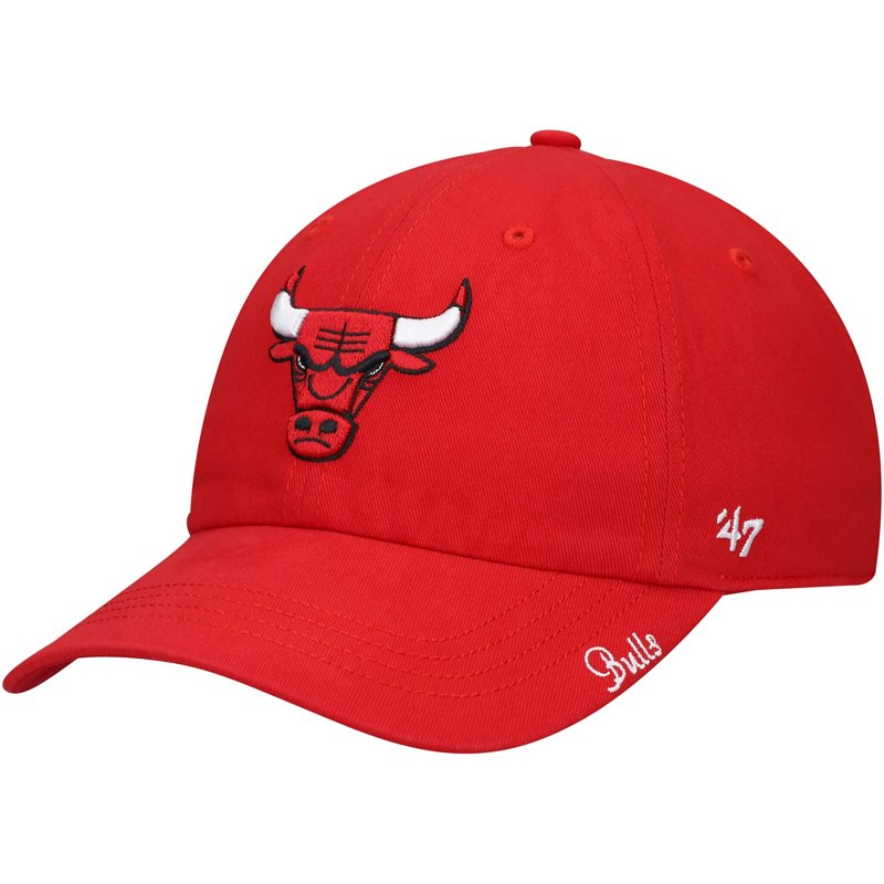 '47 Chicago Bulls M… - image