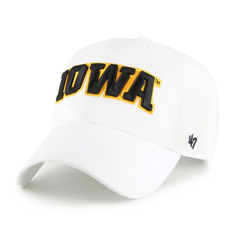 '47 Iowa Hawkeyes C… - image