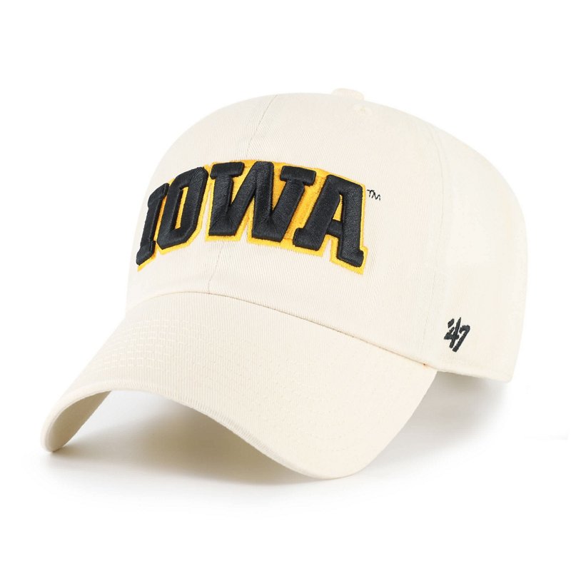 '47 Iowa Hawkeyes C… - image