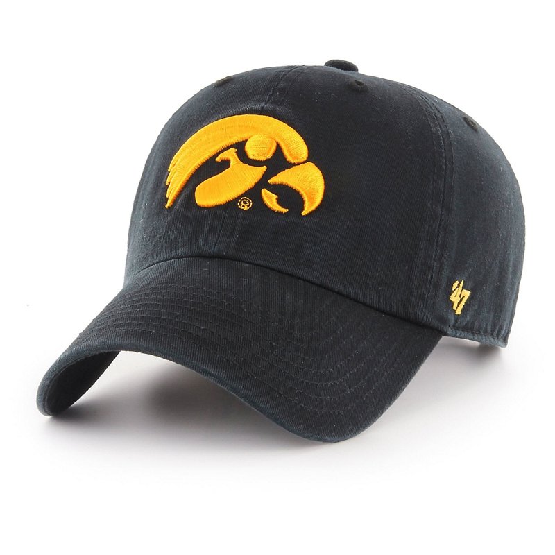 '47 Iowa Hawkeyes C… - image