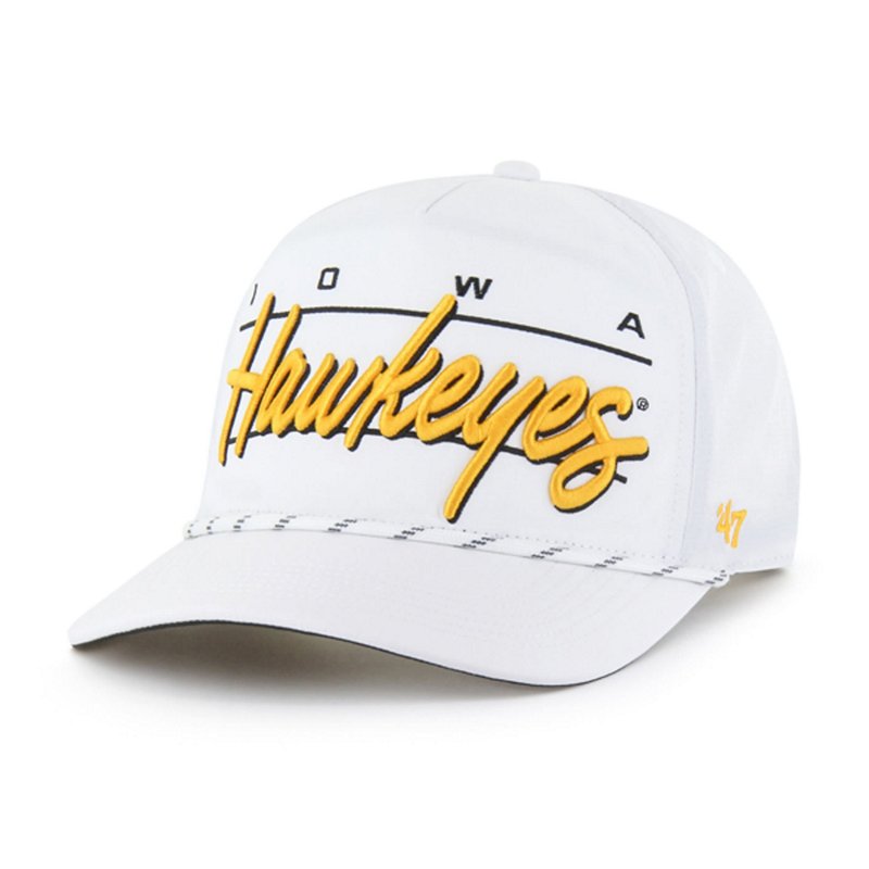 '47 Iowa Hawkeyes C… - image