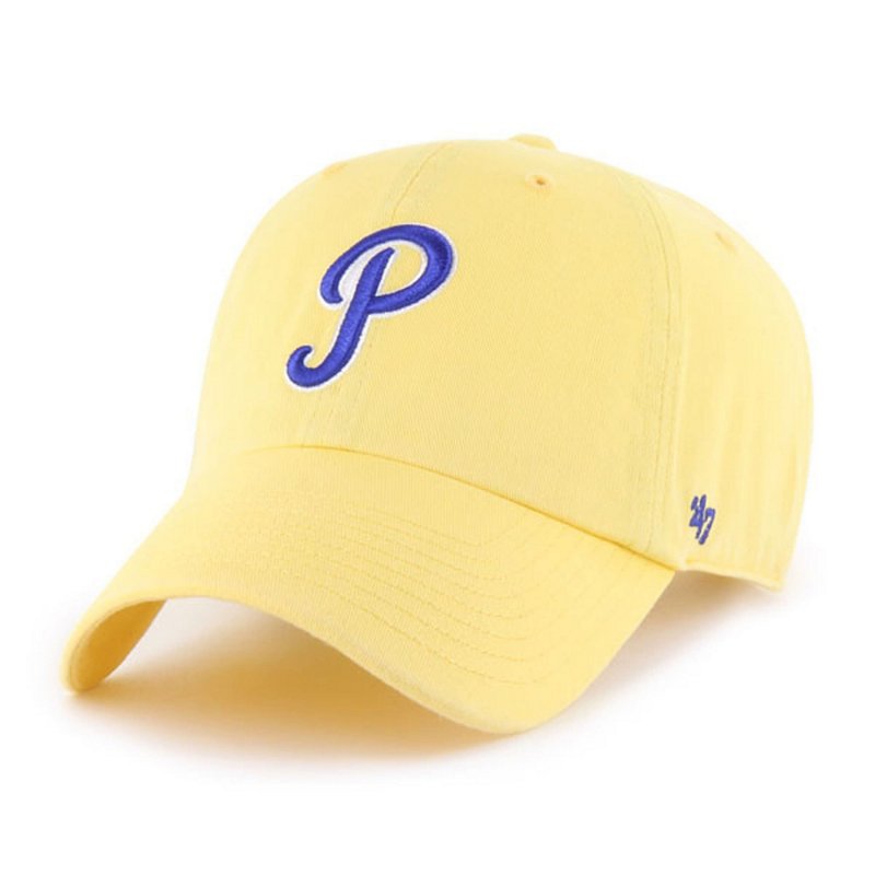 '47 Pitt Panthers V… - image