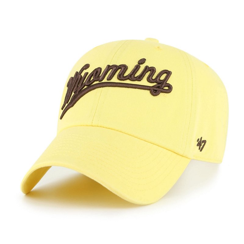 '47 Wyoming Cowboys… - image