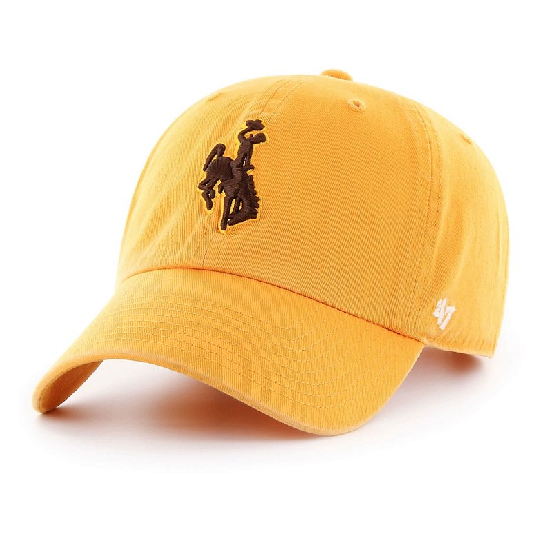 '47 Wyoming Cowboys… - image