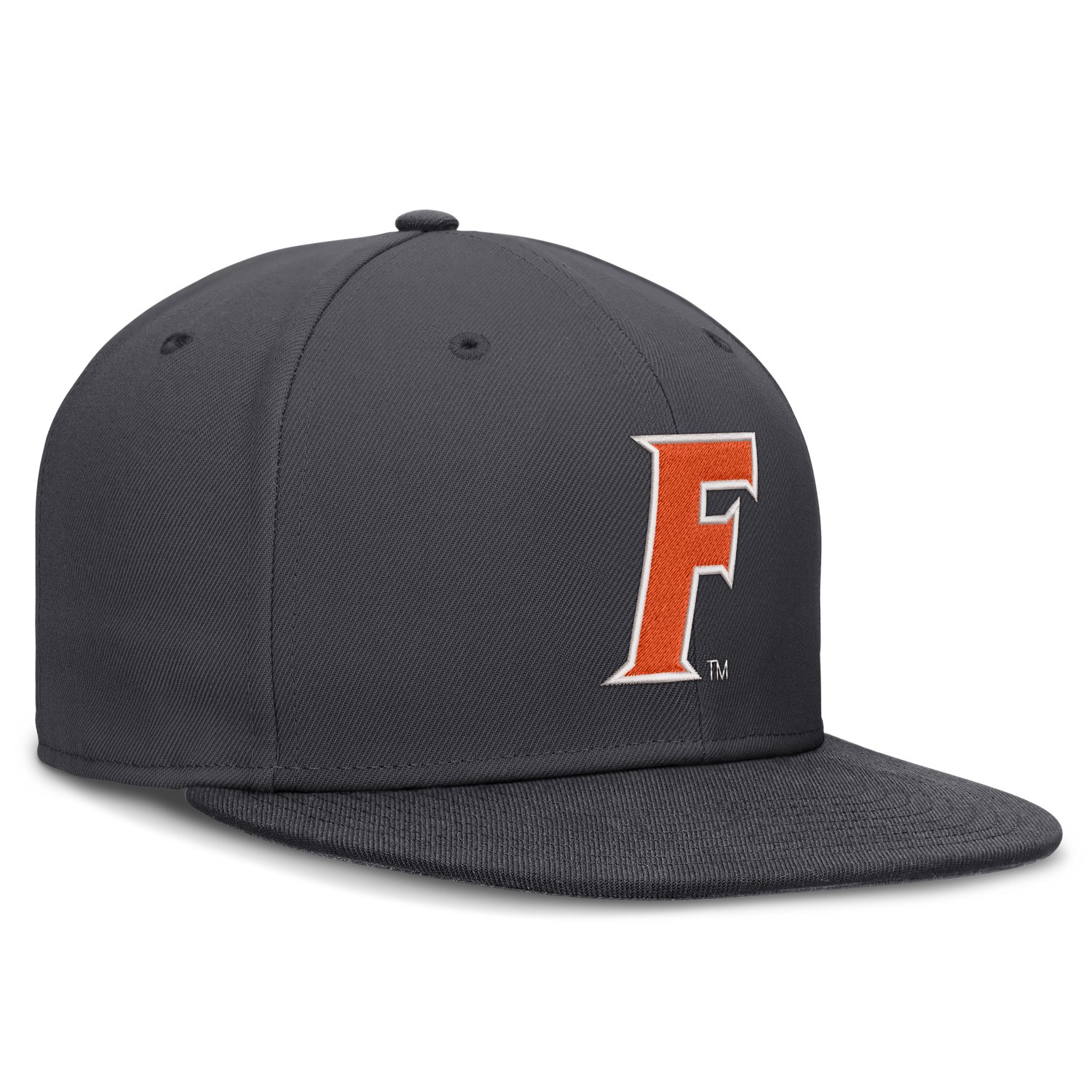 Jordan Brand Florida Gators Pro Dri-FIT Fitted Hat - view number 3