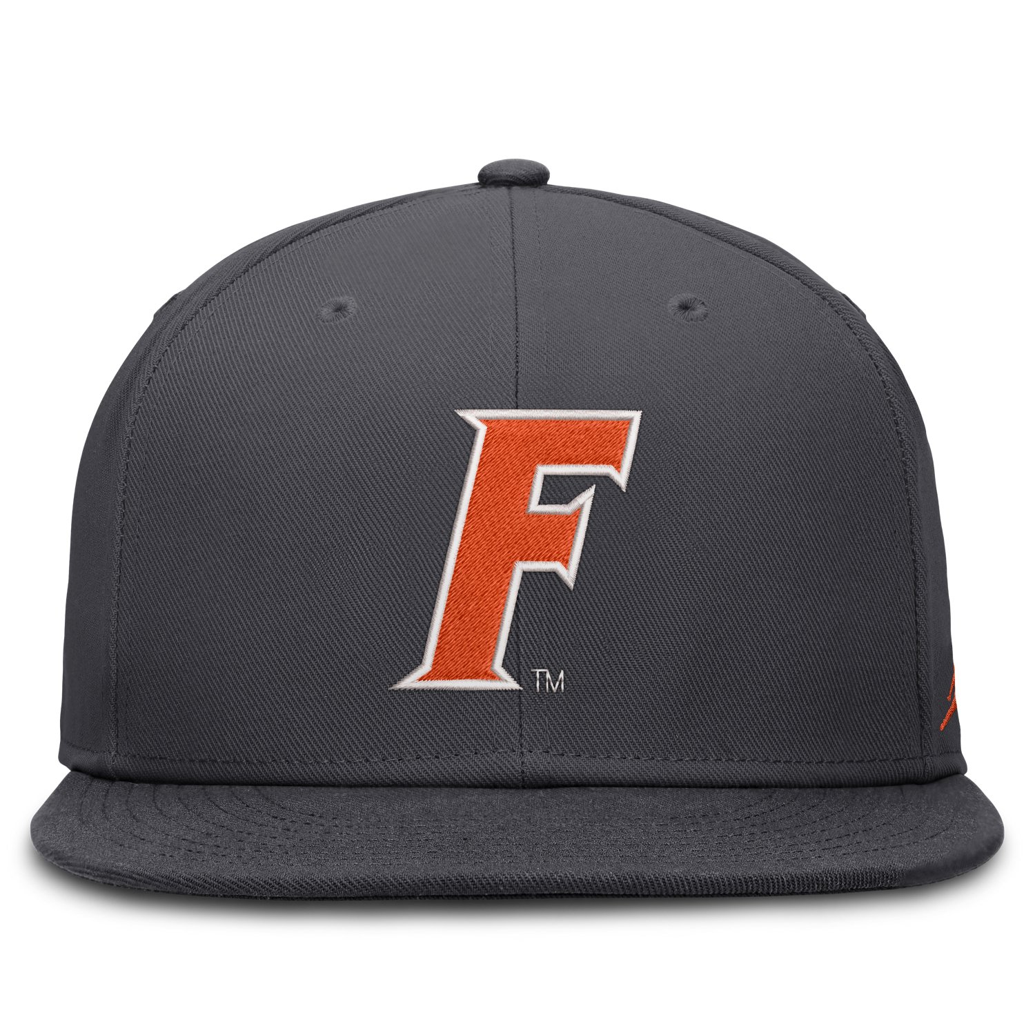 Jordan Brand Florida Gators Pro Dri-FIT Fitted Hat - view number 2