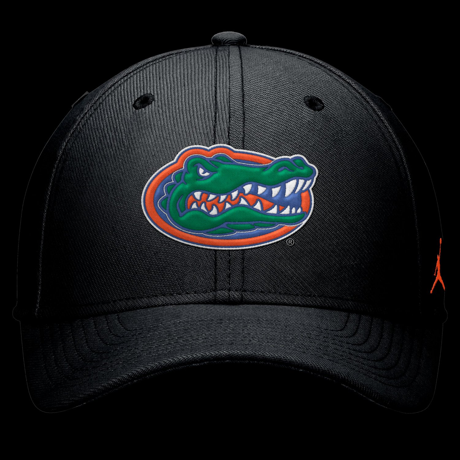 Jordan Brand Florida Gators Rise SwooshFlex Dri-FIT Hat - view number 2