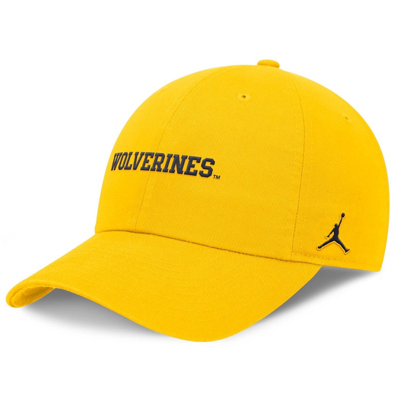 Jordan Brand Michig… - image