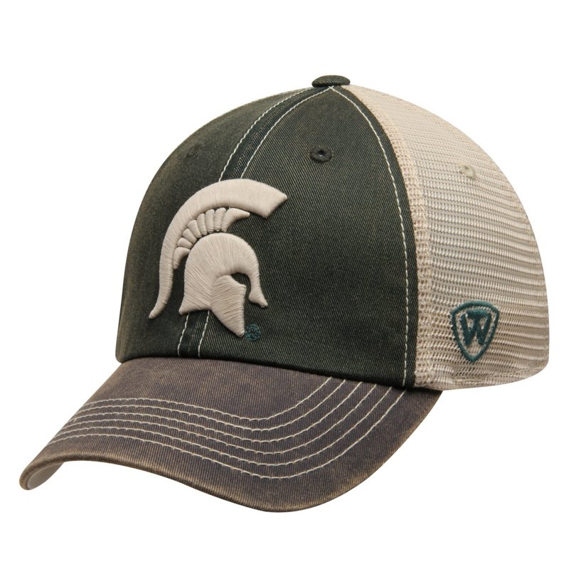 Michigan State Spar… - image