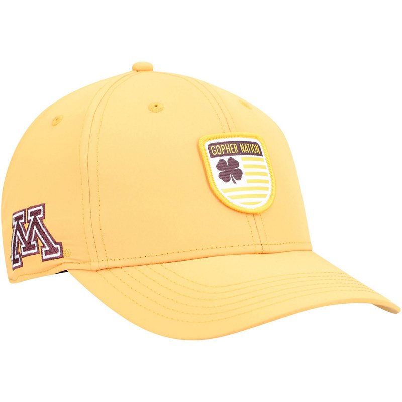 Minnesota En Gopher… - image