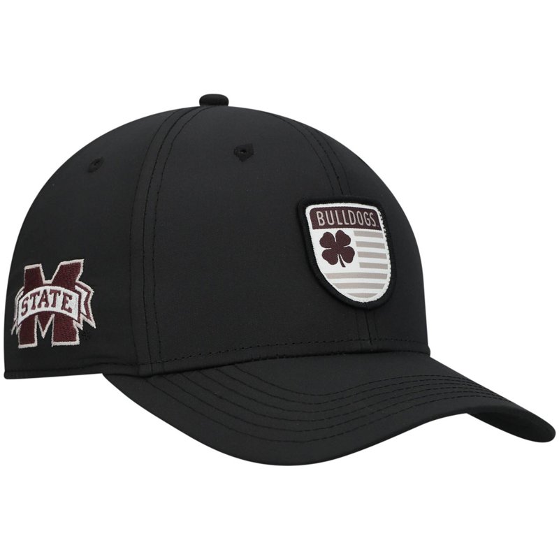 Mississippi State B… - image