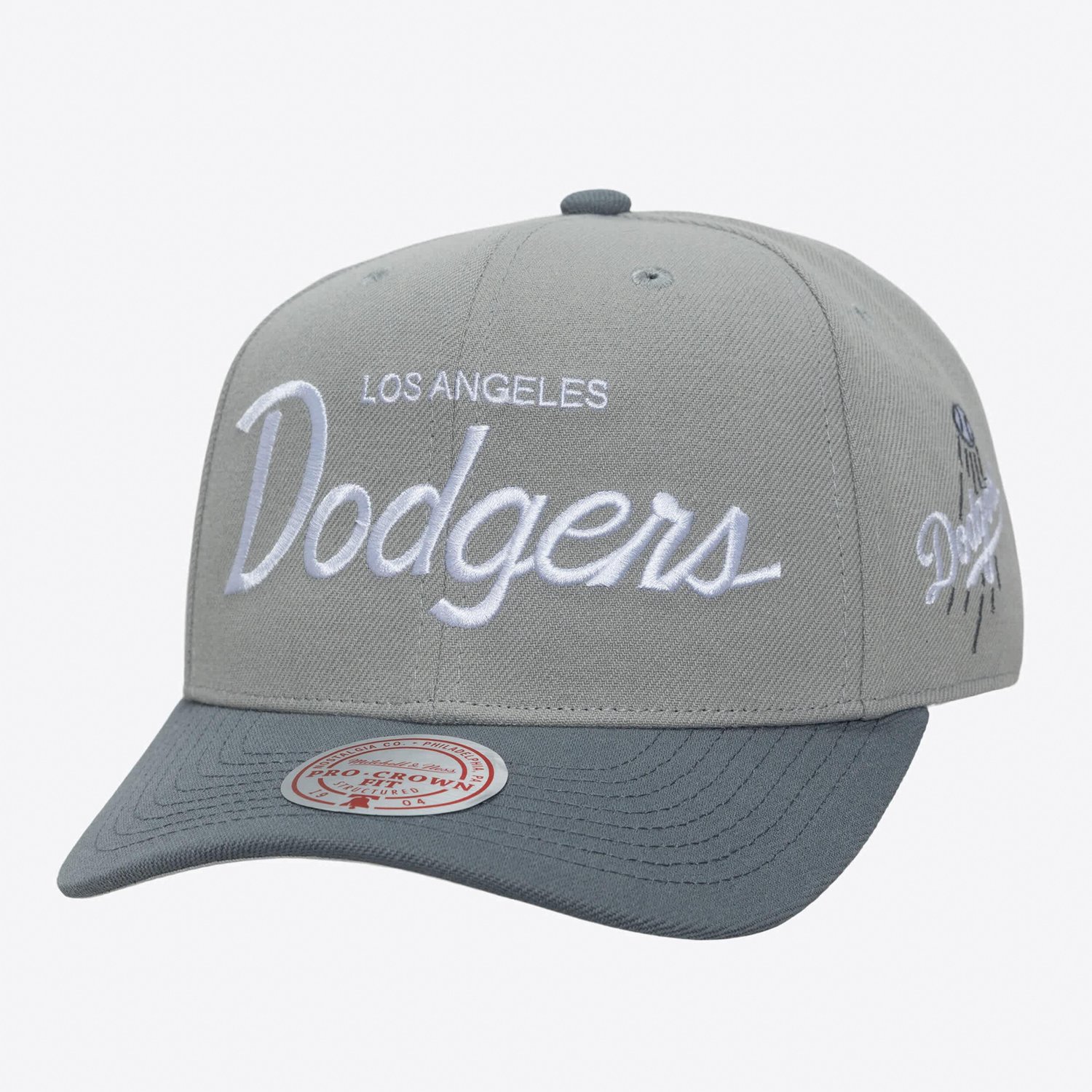 Mitchell  Ness Los Angeles Dodgers Thunderstorm Head Coach Pro-Crown Adjustable Hat