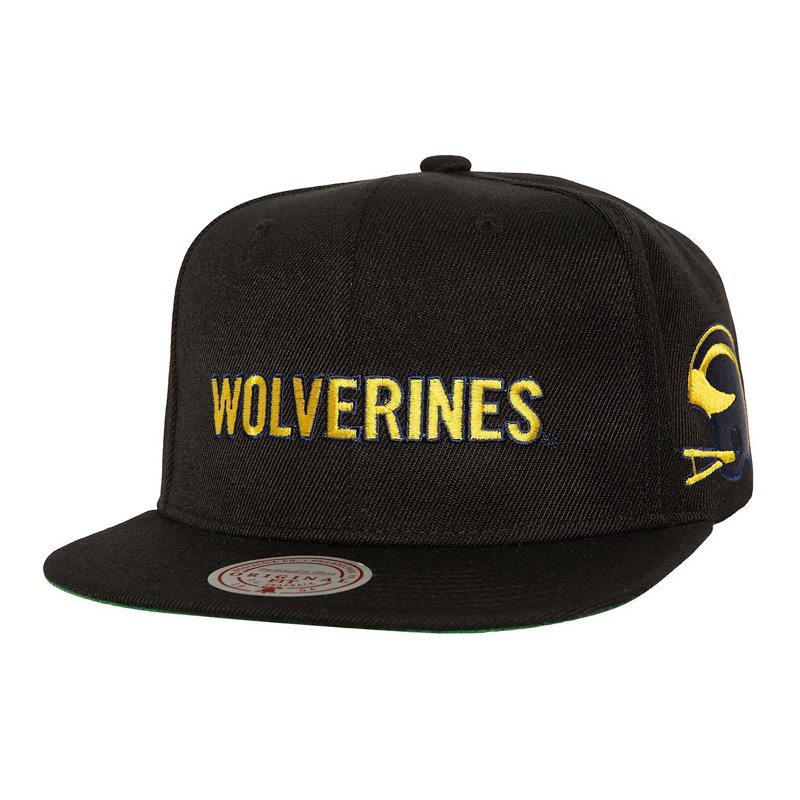 Mitchell Ness Michi… - image