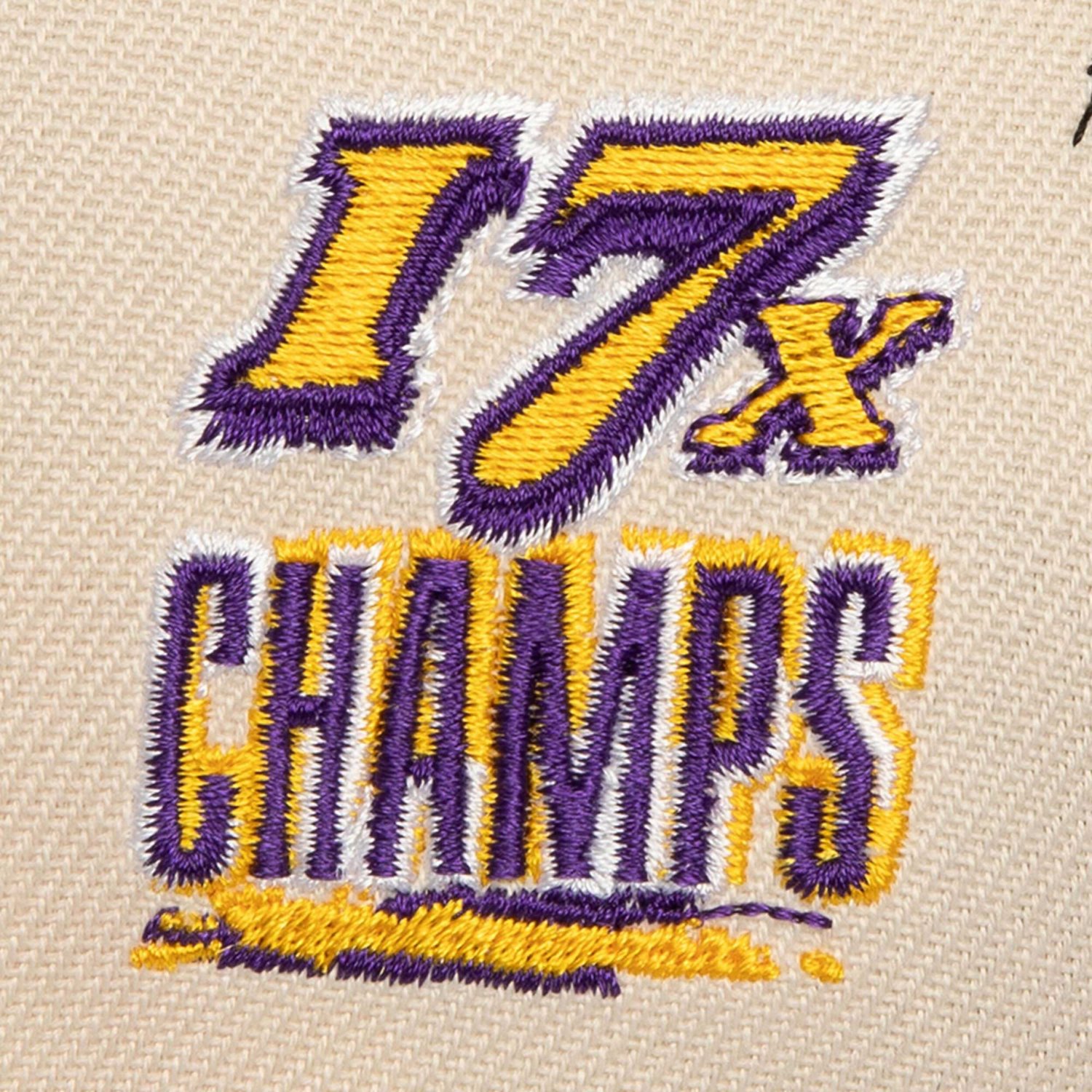 Mitchell  Ness Purple Los Angeles Lakers 17x NBA Champions Soul Legacy Defined Snapback Hat - view number 3