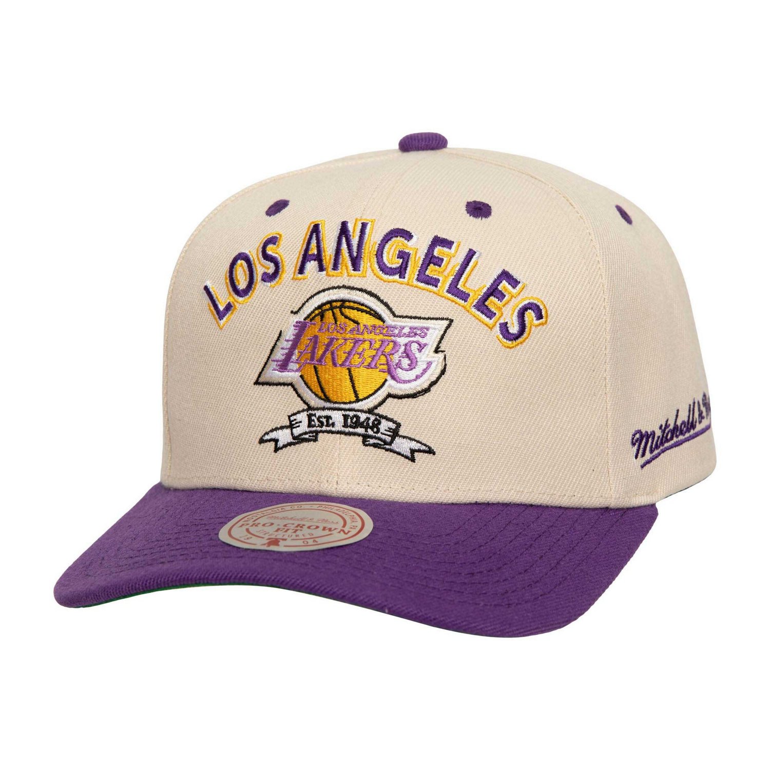 Mitchell  Ness Purple Los Angeles Lakers 17x NBA Champions Soul Legacy Defined Snapback Hat - view number 1