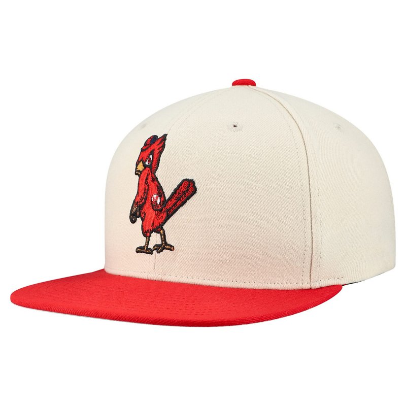 Mitchell Ness St Lo… - image