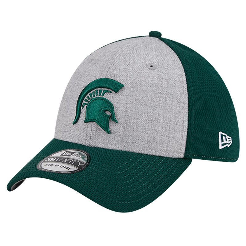 New Era / Michigan … - image