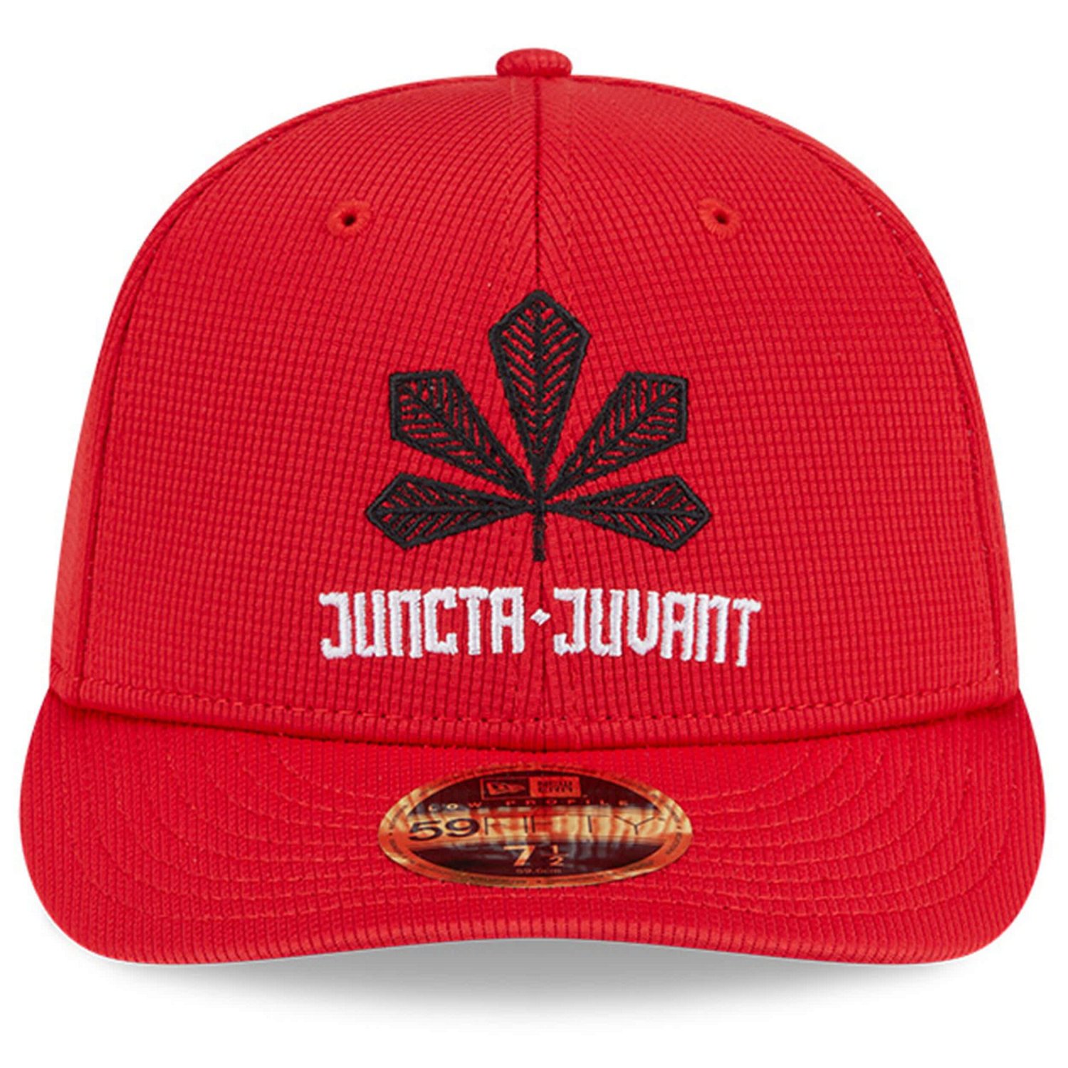 New Era Cincinnati s City Connect Batting Practice Low Profile 59FIFTY Fitted Hat - view number 2