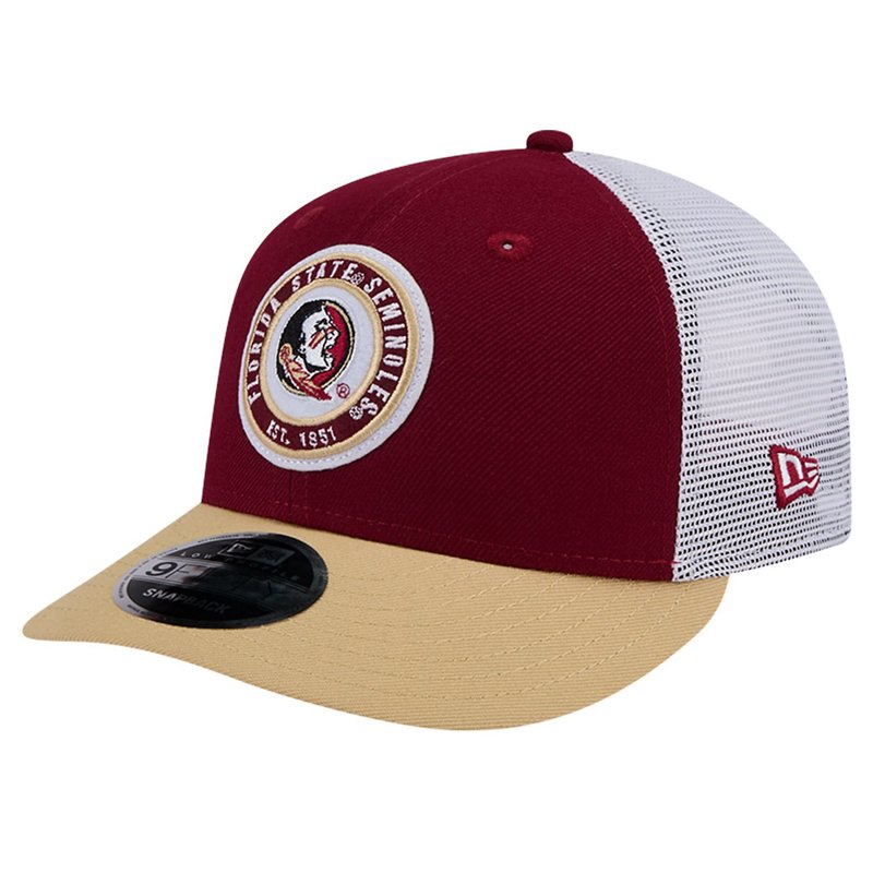 New Era Florida Sta… - image
