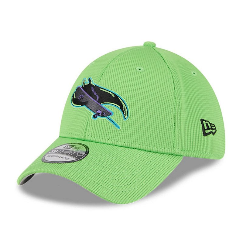 New Era Green Tampa… - image