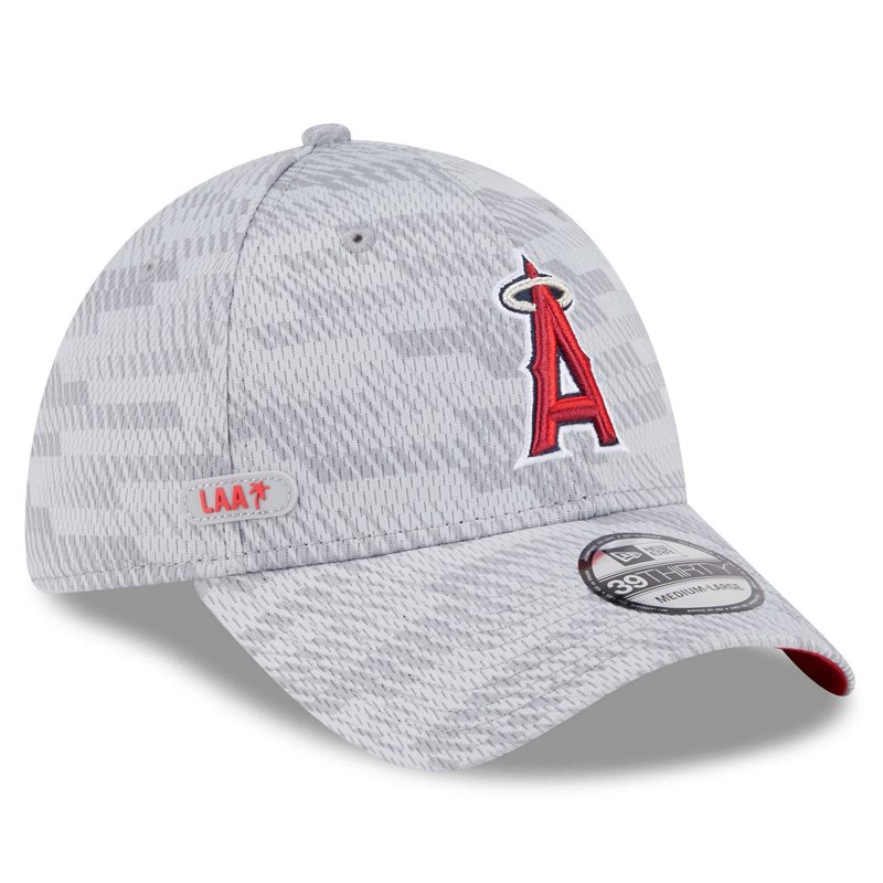 New Era Los Angeles… - image