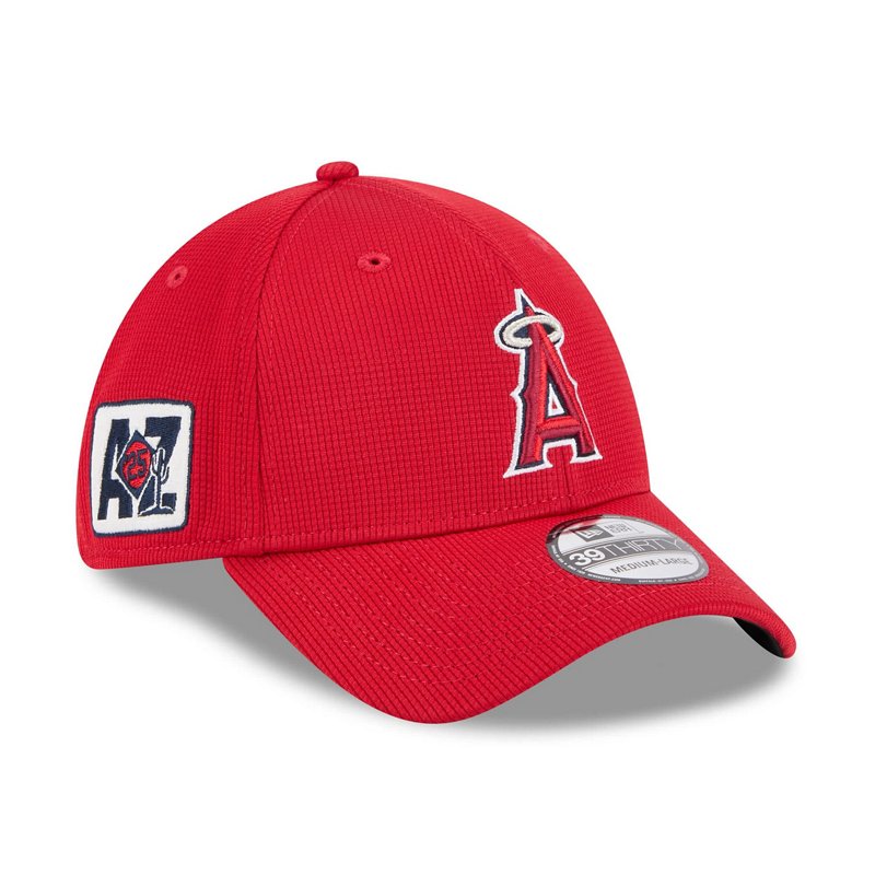New Era Los Angeles… - image