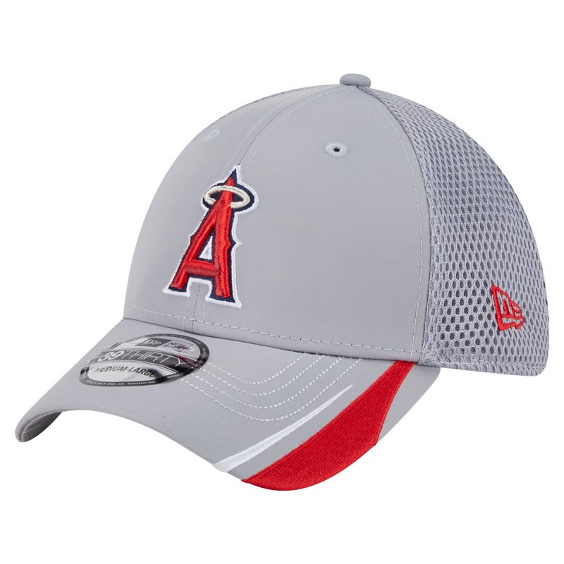 New Era Los Angeles… - image