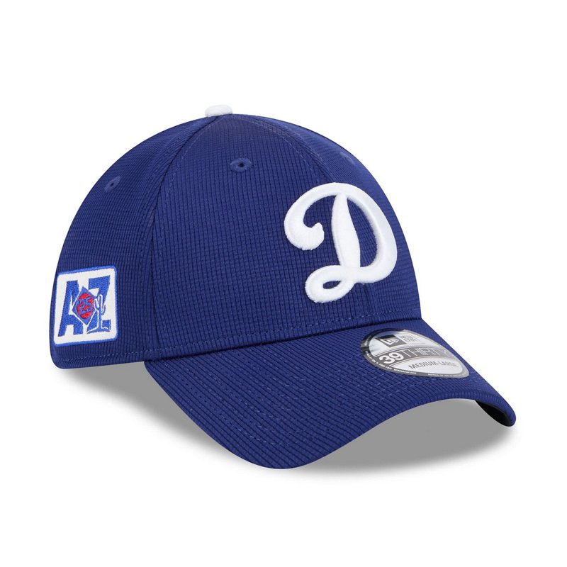 New Era Los Angeles… - image