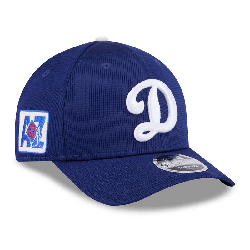 New Era Los Angeles… - image