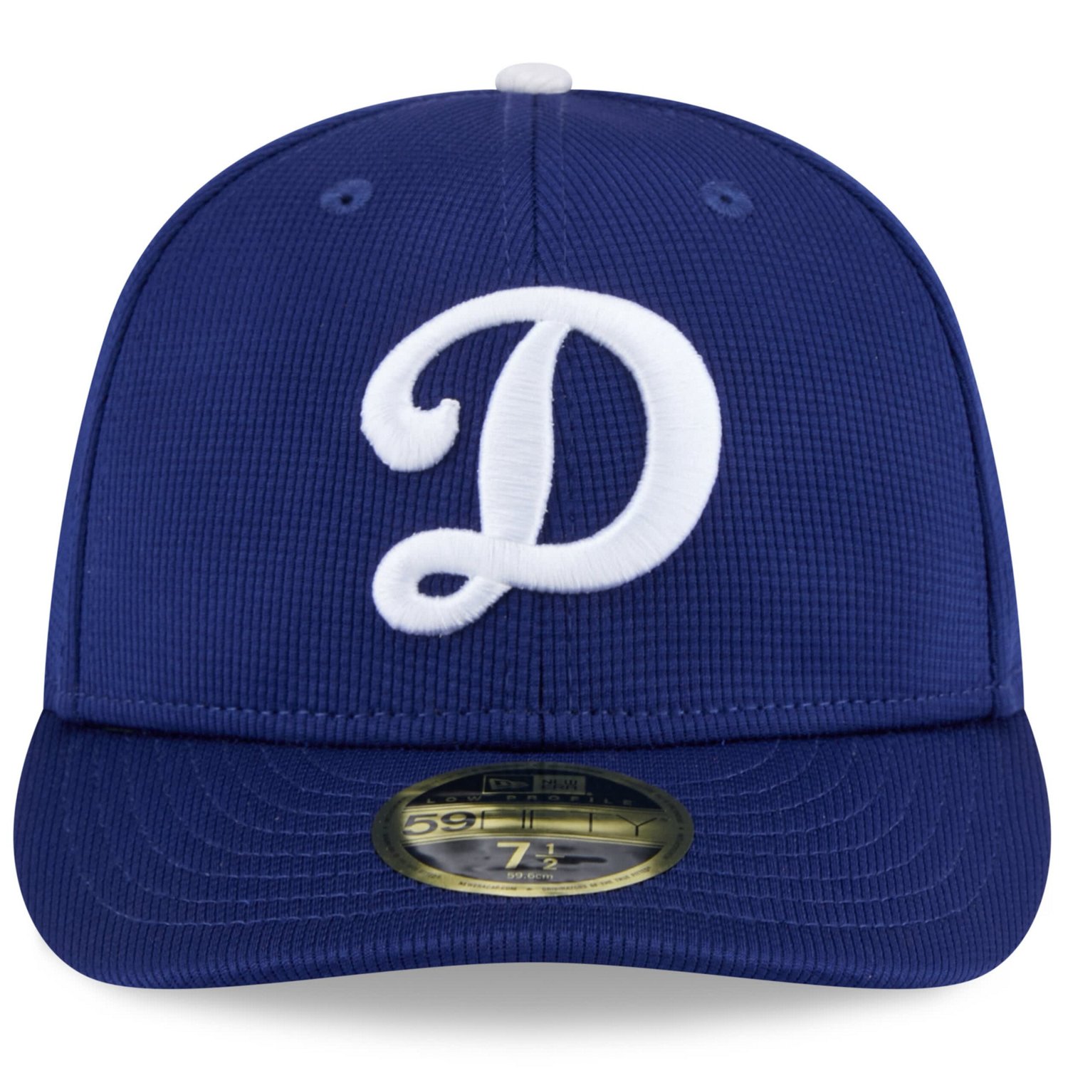 New Era Los Angeles Dodgers 2025 Spring Training Low Profile 59FIFTY Fitted Hat                                                  - view number 2