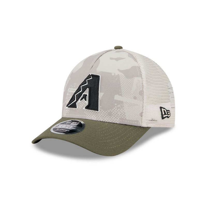New Era Men's Arizo… - image