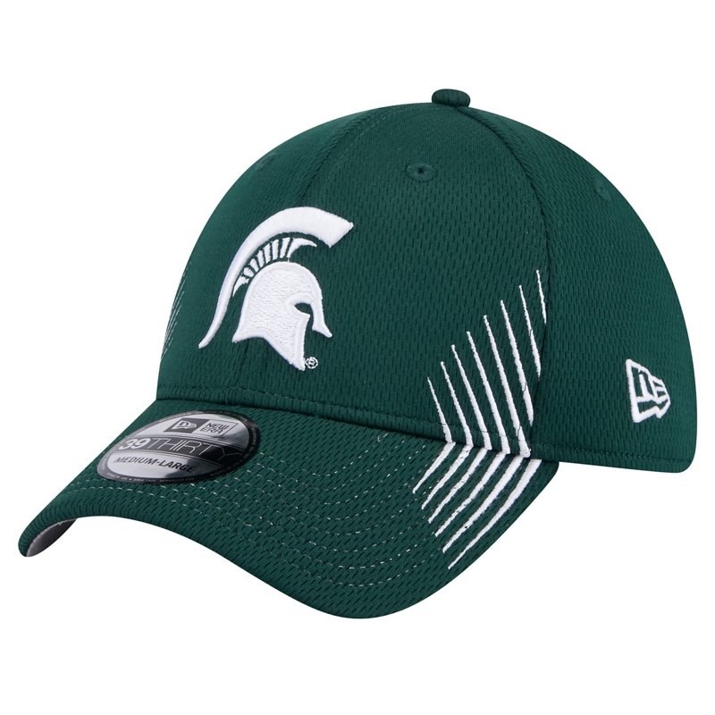 New Era Michigan St… - image