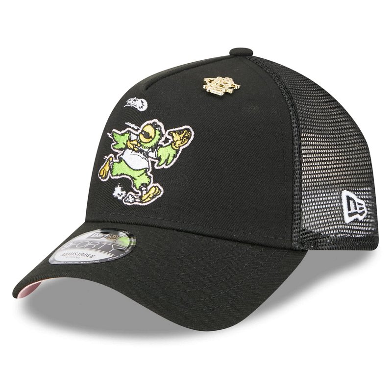 New Era Pittsburgh … - image