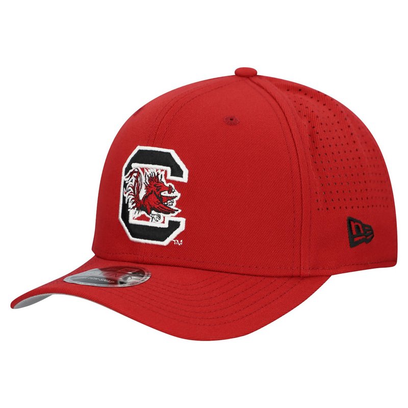 New Era South Carol… - image