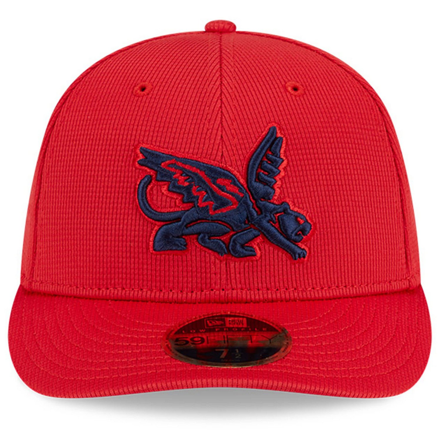 New Era Texas Rangers City Connect Batting Practice Low Profile 59FIFTY Fitted Hat - view number 2