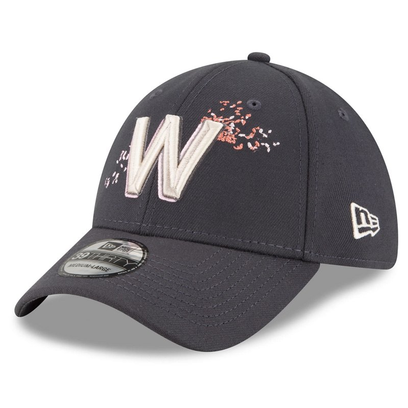 New Era Washington … - image