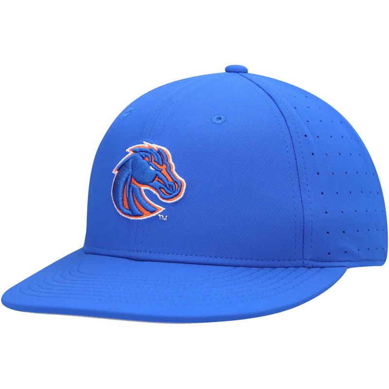 Nike Boise State Br… - image