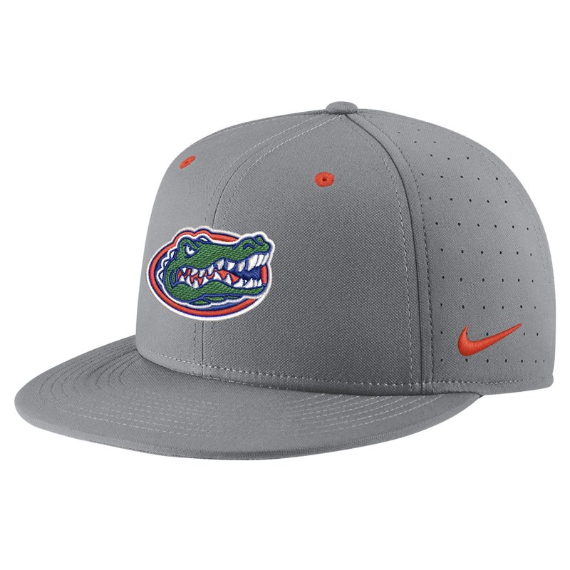 Nike Florida Gators… - image