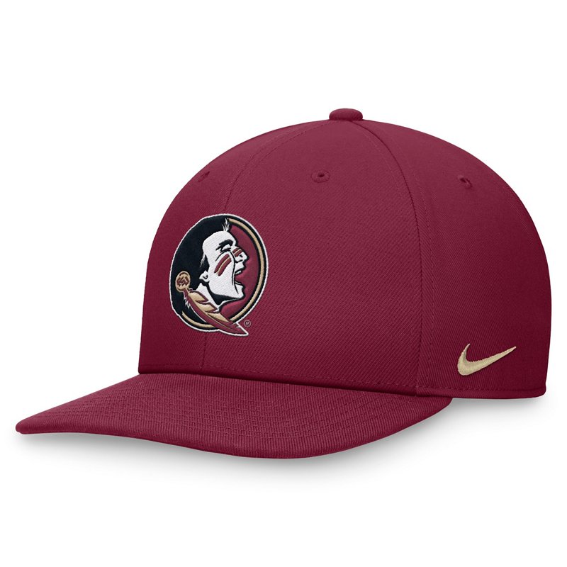Nike Florida State … - image