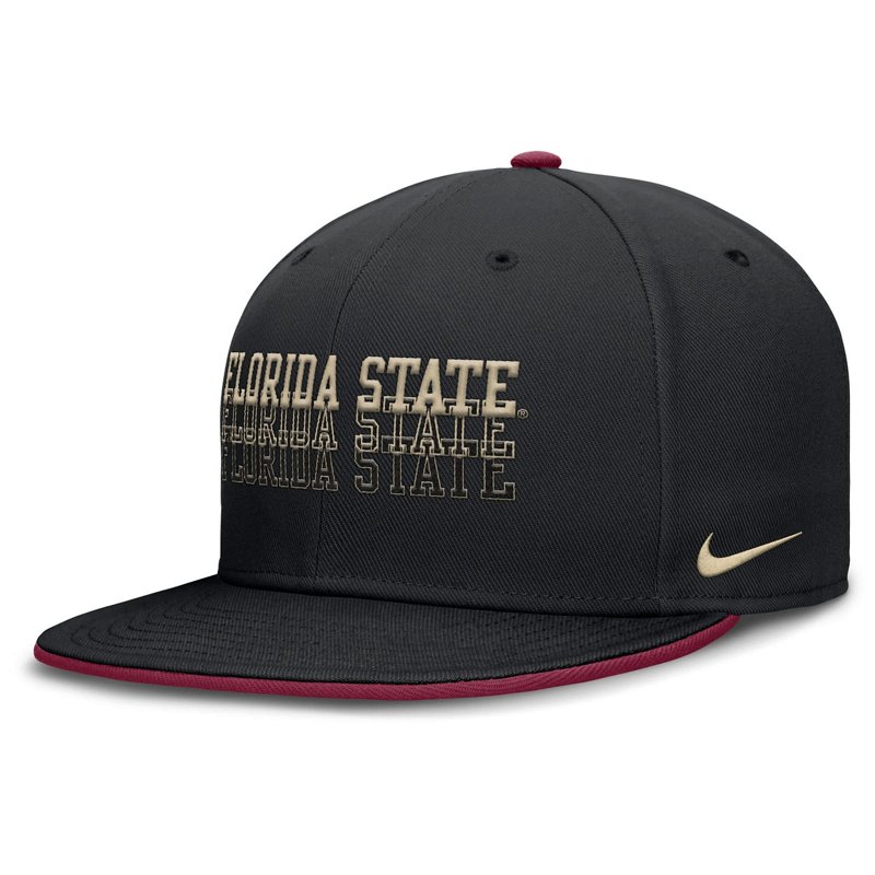 Nike Florida State … - image